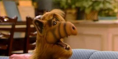 Poster der Serie Der Kammerjäger und die Kakerlake