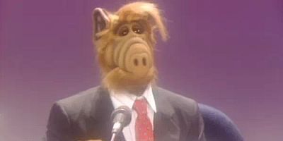 Poster der Serie Der Traumkandidat