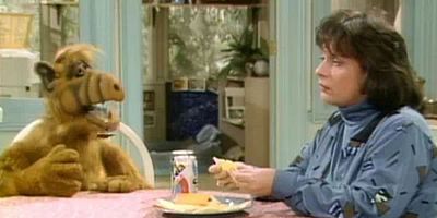 Poster der Serie Die Untermieterin