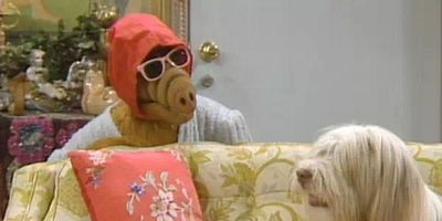 Poster der Serie Ein Widersacher auf vier Beinen