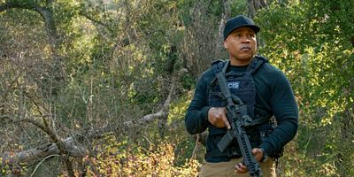 Poster der Serie Der Bär ist gelandet