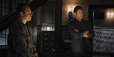 Poster der Serie Inherit the Earth