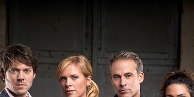 Poster der Serie Das Schwein