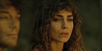 Poster der Serie Das wilde Tier