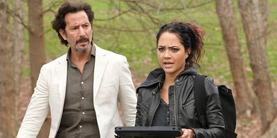 Poster der Serie Golden Lancehead + Venom + Pole Vault + Blood + Baggage