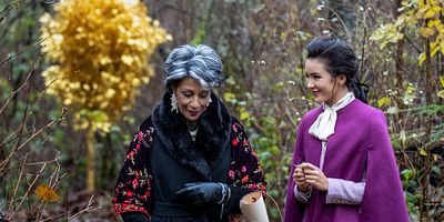 Poster der Serie Die Jagd nach dem Spinnensaphir