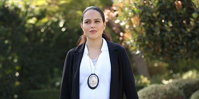 Poster der Serie Böses Blut