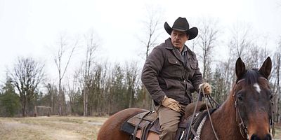 Poster der Serie No Better Than Dogs