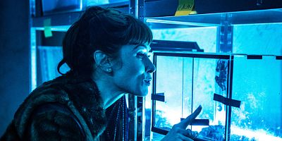 Poster der Serie Colin-maillard