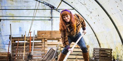 Poster der Serie Phyllobates terribilis