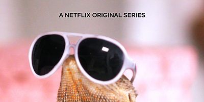 Poster der Serie Hässlich ist schön