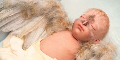 Poster der Serie Out of the Deep Woods