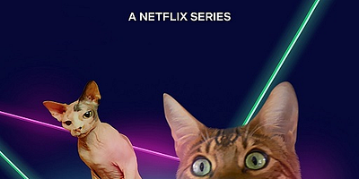 Poster der Serie Cat Rappers Delight