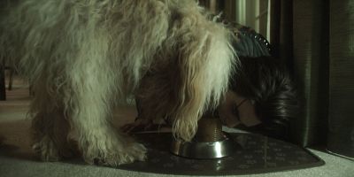 Poster der Serie Jennifer