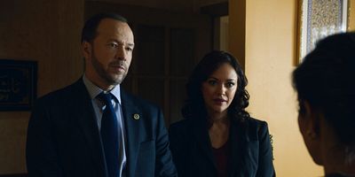 Poster der Serie Protective Instincts