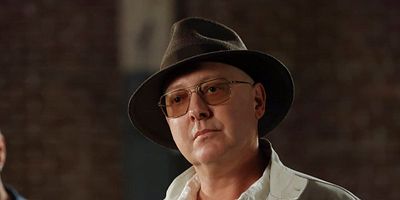 Poster der Serie The Skinner: Conclusion