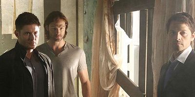 Poster der Serie Devil May Care