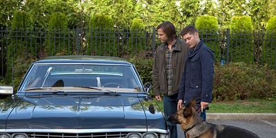 Poster der Serie Dog Dean Afternoon