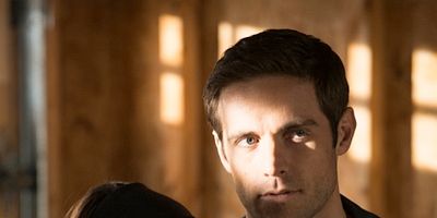 Poster der Serie Variations Under Domestication