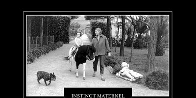 Poster der Serie L’instinct maternel