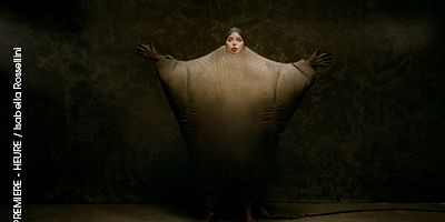 Poster der Serie Le crapaud du Surinam