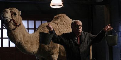 Poster der Serie The Conglomerate