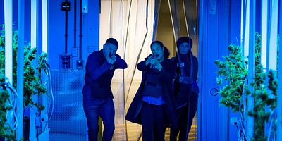 Poster der Serie Decriminalized