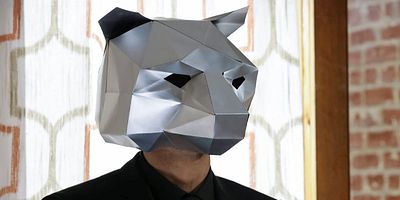 Poster der Serie The Bear Mask