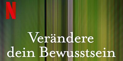 Poster der Serie LSD