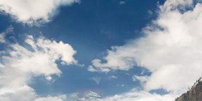 Poster der Serie Pilots And Nurses And Bears, Oh My!