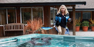 Poster der Serie Autopsy