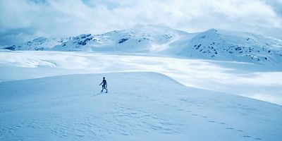 Poster der Serie The Alien Within