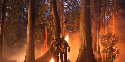 Poster der Serie Pilot