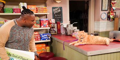 Poster der Serie Welcome to What Used to Be the Neighborhood