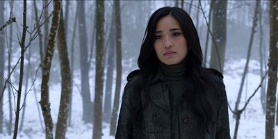 Poster der Serie Loss