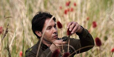 Poster der Serie Der Schwarm