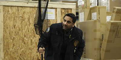 Poster der Serie Dogs and Geese