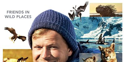 Poster der Serie PATAGONIA PUMA