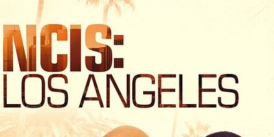 Poster der Serie Seals im Visier