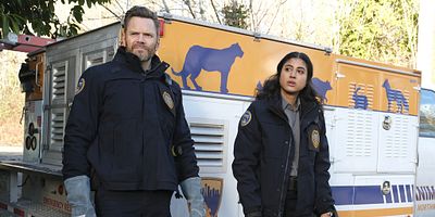 Poster der Serie Big Dogs and Mini Horses