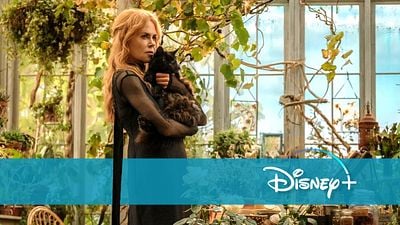 bild aus der news Fantasy-Kult wird nach fast 30 Jahren im Kino fortgesetzt – das Original könnt ihr jetzt bei Disney+ streamen