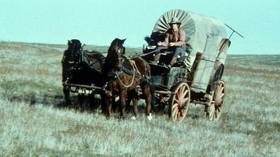 bild aus der news Die Kult-Serie eurer Kindheit bekommt eine Netflix-Neuauflage – erwartet uns ein neues "Yellowstone"?