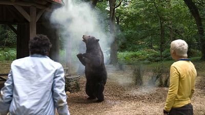 bild aus der news Basiert "Cocaine Bear" wirklich auf einer wahren Geschichte?