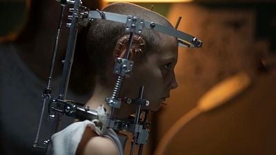 bild aus der news Skandal-Regisseurin plant ihr nächstes Projekt: Nach blutigem Body-Horror und Kannibalismus-Schocker wird sie nun einen Bestseller adaptieren