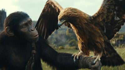 "Planet der Affen: New Kingdom" leitet neue Sci-Fi-Trilogie ein – und diese spielt viele Jahre nach Caesars Abenteuern