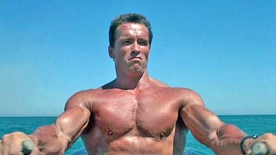 bild aus der news Arnold Schwarzenegger, 79, über seinen ersten großen Flop: "Ich stand so weit oben auf dem Podest – wohin hätte es von dort noch gehen sollen?"
