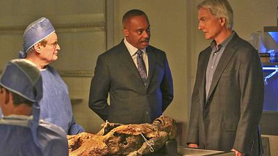 bild aus der news Er war in über 450 Folgen "NCIS" dabei: Fanliebling David McCallum alias "Ducky" ist tot