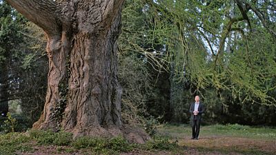 bild aus der news Ab heute im Kino: Das erste 5-Sterne-Meisterwerk des Jahres!