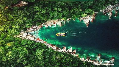 bild aus der news Heute erstmals im TV: "Matrix"- & "Sopranos"-Kultstar im 6. (!) Teil einer blutig-brutalen Tierhorror-Reihe