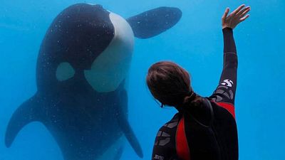 bild aus der news TV-Tipp: Wunderschön, intensiv & unvergesslich – dieses Meisterwerk lässt euch nicht mehr los